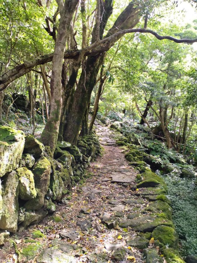 Alojamento Local M&I Lajes das Flores エクステリア 写真